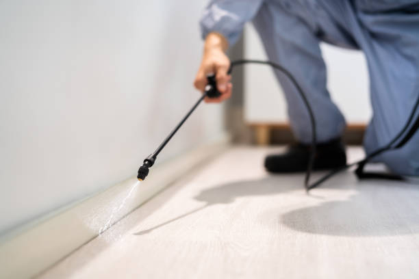 Bed Bug Pre-Treatment Preparation Assessment in Buda