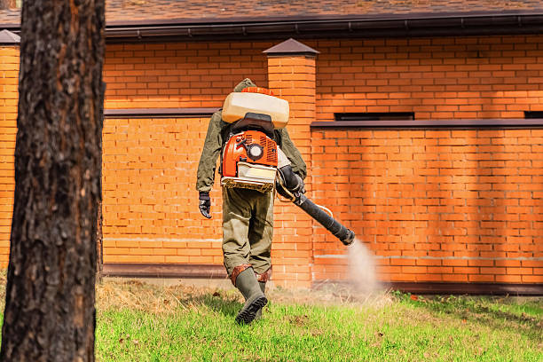 Bed Bug Clearance Verification and Documentation in Buda